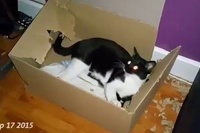 破壊すきですよね～。