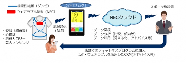 システム概要（グンゼの発表資料より）