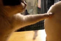 ねぇねぇと、ネコがやっていて最初はかわいいな～とみていたら・・・。