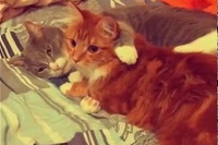 もう～なんて仲良しなんでしょ、カメラが邪魔でしたね！