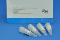 Takara Taq Hot Start Version GMP grade （タカラバイオの発表資料より）