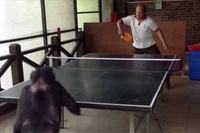 凄いラリーを繰り広げていますがこれホントは人間なのでは！？