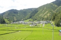 「マイナビ転職」は、転職を考える20～39歳の男女(正社員)のうち、Uターン転職を視野に入れている人を対象にした「マイナビ転職 Uターン転職に関する実態調査」を発表した。