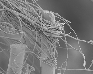 帝人が開発した面ファスナー「ファスナーノ」の接触部分の電顕写真（同社発表資料より）