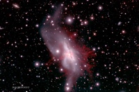 すばる望遠鏡主焦点カメラ Suprime-Cam で得られた NGC 6240 の擬似カラー画像。青、緑、赤にそれぞれ B バンド画像、R バンド画像、Hα 輝線 (電離水素が放つ光) 画像を割り当てて合成。銀河から吹き出す巨大な電離ガスが赤く見えている。（広島大学／国立天文台）