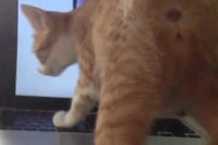 あったかくてアテンションがもらえて一番の場所ですよね！