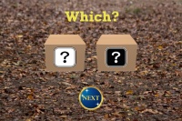 猫はどっちに居るのかな？ - Android アプリ 「１歳からの猫どっちアプリ」