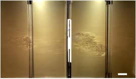 チャネル流の一部を可視化した図。一様な層流中に乱流スポットが見える。(東京大学の発表資料より) チャネル流の一部を可視化した図。一様な層流中に乱流スポットが見える。(東京大学の発表資料より)