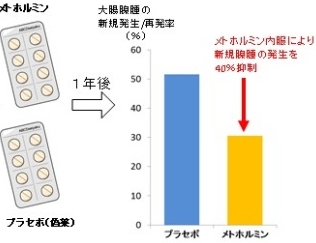 メトホルミン服用による腺腫の新規発生・再発率の比較(横浜市立大学発表資料より) メトホルミン服用による腺腫の新規発生・再発率の比較(横浜市立大学発表資料より)