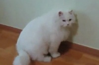 この姿勢の横には、コカ・コーラが似合いそうな雰囲気です！