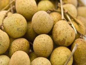 「漢方デスク」は、全国の男女を対象に漢方治療に関する意識調査を行った。8割弱の人が漢方薬を服用したことがあるが、服用経験に関わらず漢方治療を受けるまでのハードルとして「自分の症状に漢方薬は効果があるのか」等である。 「漢方デスク」は、全国の男女を対象に漢方治療に関する意識調査を行った。8割弱の人が漢方薬を服用したことがあるが、服用経験に関わらず漢方治療を受けるまでのハードルとして「自分の症状に漢方薬は効果があるのか」等である。