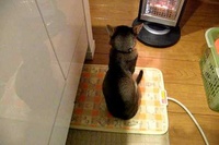 これ世界共通の万能の言葉ではないでしょうか！