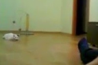 これ超～楽しそう～♪ジャンプ！ふたりは息ぴったりです。