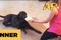 ハッピーバースデートゥーユー～♪喜んでいると思ったら・・・。