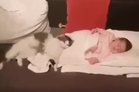 本当に赤ちゃんが大好きなんですね、猫ちゃんの愛が伝わります！