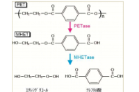 PETの化学式と、発見された細菌によって分解された後の化学式（慶応大学発表資料より）