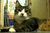 笛の音を聞いたら、意外と細かいビブラートで歌うその声にびっくり！