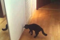 そっと見守っていたかと思いきや！転んだらすごい速さで駆けつけます！