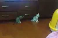 適度な距離感を保ってくっついていたんですけど驚かせちゃいました！