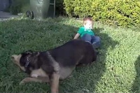 この男の子にとってわんこはとってもいい先生ですね！