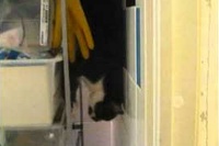 これはすごい！！いつ習得したんでしょ？驚きな降り方です！