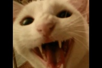 どんなに眠くてもリラックス中でも、このワードを聞いたら直行です！