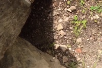 どこから出て来るのだろう？という疑問を超えた登場の仕方でした！