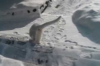 おいおい、出たいといったのは君のほうだよ～笑。