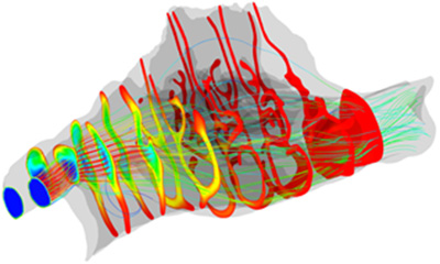 チンパンジーの鼻腔の気流と温度変化のシミュレーション。線は気流（青から赤にかけて速さが増す）、断面は温度分布（青から赤にかけて温度が増す）を表す。（京都大学の発表資料より）