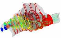 チンパンジーの鼻腔の気流と温度変化のシミュレーション。線は気流（青から赤にかけて速さが増す）、断面は温度分布（青から赤にかけて温度が増す）を表す。（京都大学の発表資料より）