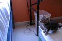 ちょっとジャンプした気にこちらをチラッと見ていたらこんな展開に。