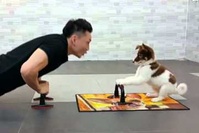 こんなコーチがいたら毎日楽しくエクササイズができそうです。