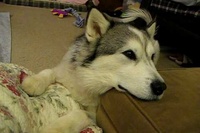 お顔もとてもりりしくてかっこいいですが、その声はまたまたすごい。