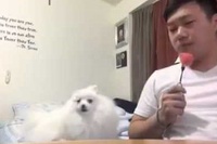 欲しがると怒られるとわかってるんでしょうね、凄いチラ見がうまい！