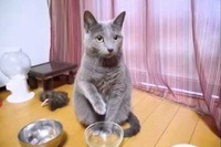 お手手をボールに入れて何やら魔法でもかけているかのようですが！？