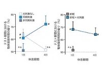 マウスの記憶定着イメージ図（理化学研究所発表資料より）