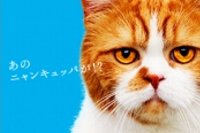 「ワンキュッパ割」告知イメージ（ソフトバンクホームページより）