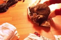 もうこれは洗濯物の戦いと呼んでいいでしょう！