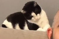 お父さんのお耳をペシペシやってたら…やっぱりやりたくなるよね。