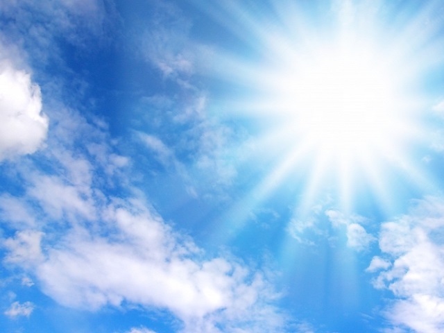 花王では、「生乾き臭」と呼ばれる雑巾様臭のキー成分が4-メチル-3-ヘキセン酸であり、その発生の原因菌がモラクセラ属細菌であることを解明してきた