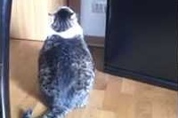 思っている行動をとっただけなのにこんなに激しく見えてしまう・・・。