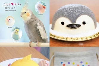 「心うるおう小鳥ガーデン2016」にことりカフェが参加（ことりカフェ発表資料より）