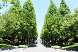 「みどりの愛護」功労者 国土交通大臣表彰は、年に1度花と緑の愛護に顕著な功績のあった民間の団体に対し、その功績をたたえ、国民的運動としての緑化推進活動の模範として表彰されるものだ 「みどりの愛護」功労者 国土交通大臣表彰は、年に1度花と緑の愛護に顕著な功績のあった民間の団体に対し、その功績をたたえ、国民的運動としての緑化推進活動の模範として表彰されるものだ