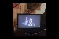 真剣にTVを見ているわんこですがさすがにこれは怖すぎた！！