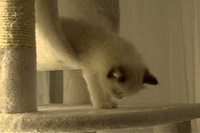 もう少し中に入るか出るかでずいぶん楽に寝られたと思うんですが…笑。