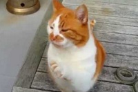 こんな風におねだりされたら絶対止められません！！