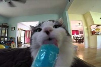 この感じ人間の頭キーンと似てますね！でも止まらないですよね！