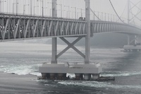 東京商工リサーチによると、都道府県別の社長「輩出率」で徳島県が2年連続でトップになった。