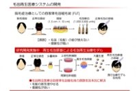 再生医療技術による脱毛症の治療イメージ（京セラ発表資料より）