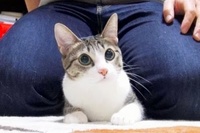 激しい！有り余るエネルギー！！さすがのおはぎちゃんですね！